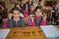 /album/fotogalerij/images-jpg/